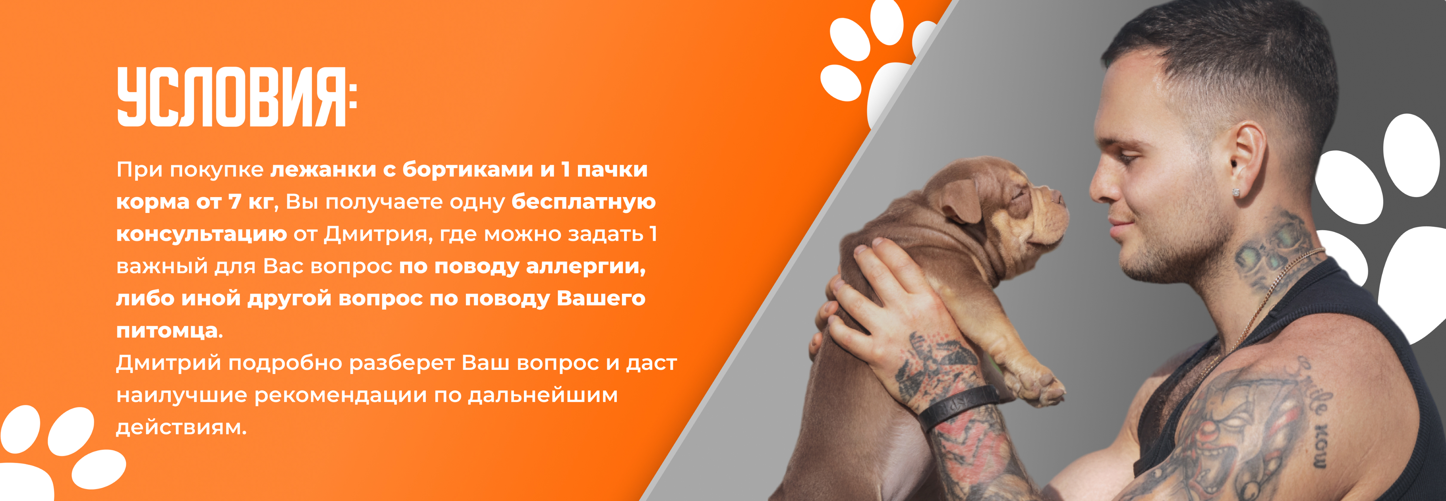 Бесплатная консультация - задняя сторона